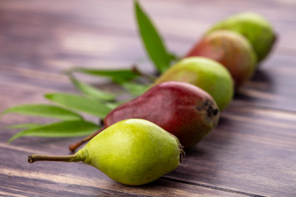 Is Palm Oil a Seed Oil? Understanding the Truth