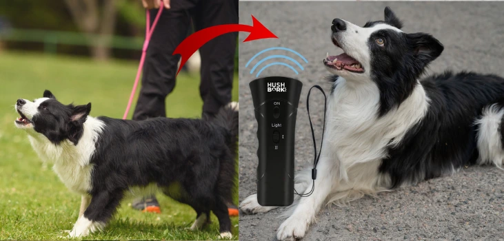 Hush Bark Collar